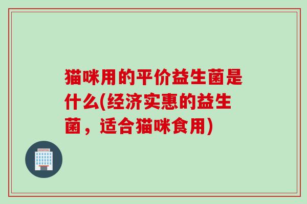 猫咪用的平价益生菌是什么(经济实惠的益生菌，适合猫咪食用)
