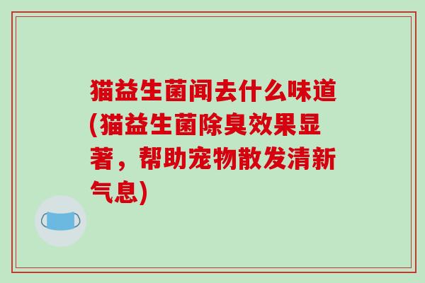 猫益生菌闻去什么味道(猫益生菌除臭效果显著，帮助宠物散发清新气息)