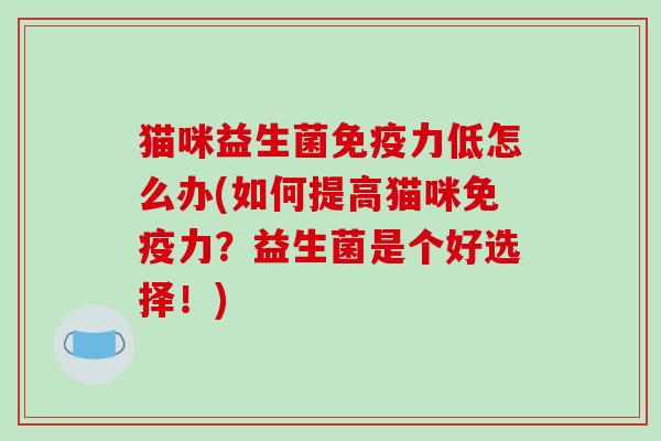 猫咪益生菌免疫力低怎么办(如何提高猫咪免疫力？益生菌是个好选择！)