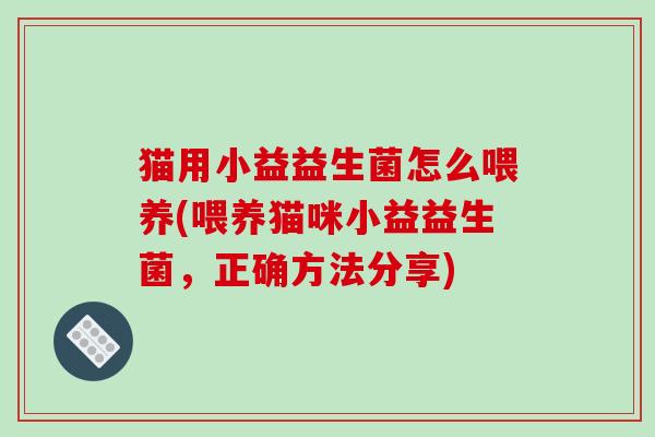 猫用小益益生菌怎么喂养(喂养猫咪小益益生菌，正确方法分享)