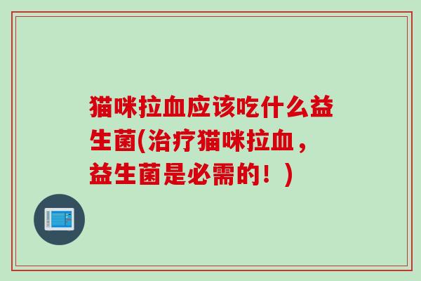 猫咪拉血应该吃什么益生菌(治疗猫咪拉血，益生菌是必需的！)
