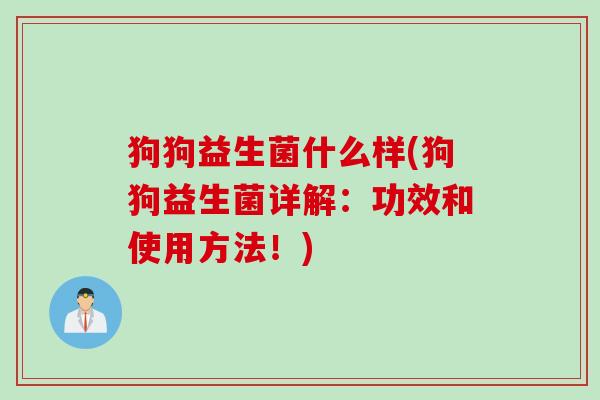 狗狗益生菌什么样(狗狗益生菌详解：功效和使用方法！)