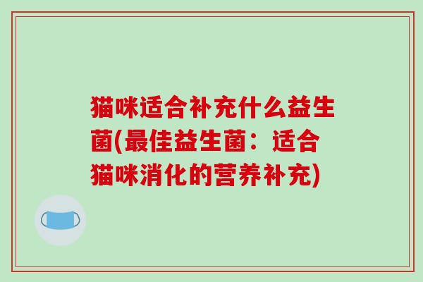 猫咪适合补充什么益生菌(最佳益生菌：适合猫咪消化的营养补充)