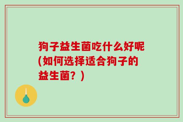 狗子益生菌吃什么好呢(如何选择适合狗子的益生菌？)
