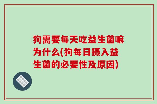 狗需要每天吃益生菌嘛为什么(狗每日摄入益生菌的必要性及原因)