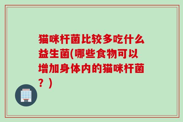 猫咪杆菌比较多吃什么益生菌(哪些食物可以增加身体内的猫咪杆菌？)