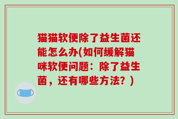 猫猫软便除了益生菌还能怎么办(如何缓解猫咪软便问题：除了益生菌，还有哪些方法？)