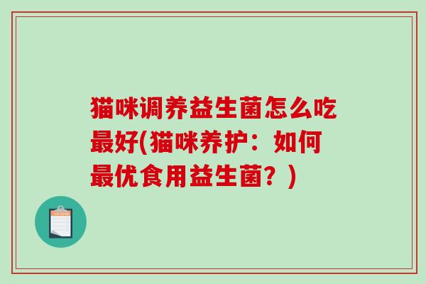 猫咪调养益生菌怎么吃最好(猫咪养护：如何最优食用益生菌？)