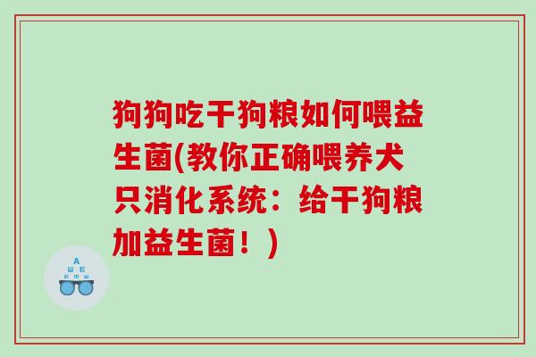 狗狗吃干狗粮如何喂益生菌(教你正确喂养犬只消化系统：给干狗粮加益生菌！)