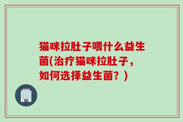 猫咪拉肚子喂什么益生菌(治疗猫咪拉肚子，如何选择益生菌？)