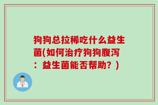 狗狗总拉稀吃什么益生菌(如何治疗狗狗腹泻：益生菌能否帮助？)