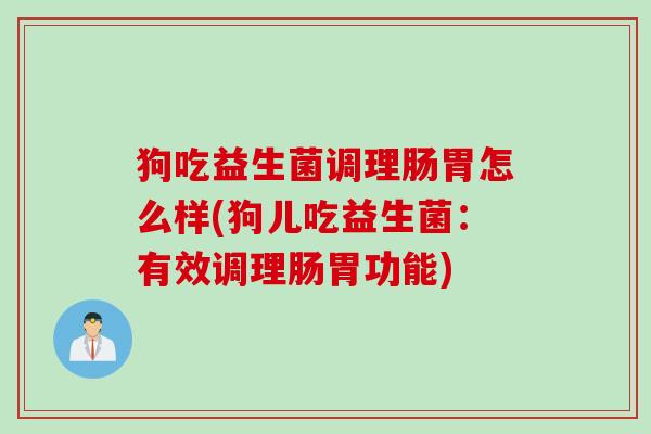 狗吃益生菌调理肠胃怎么样(狗儿吃益生菌：有效调理肠胃功能)