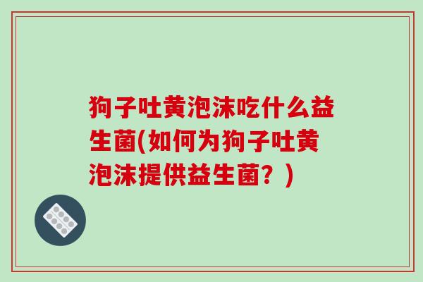 狗子吐黄泡沫吃什么益生菌(如何为狗子吐黄泡沫提供益生菌？)