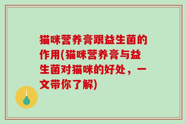 猫咪营养膏跟益生菌的作用(猫咪营养膏与益生菌对猫咪的好处，一文带你了解)