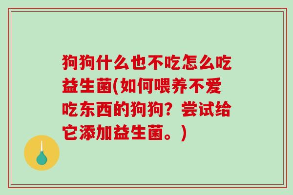 狗狗什么也不吃怎么吃益生菌(如何喂养不爱吃东西的狗狗？尝试给它添加益生菌。)
