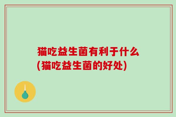 猫吃益生菌有利于什么(猫吃益生菌的好处)