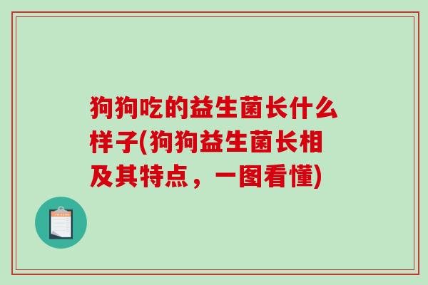 狗狗吃的益生菌长什么样子(狗狗益生菌长相及其特点，一图看懂)