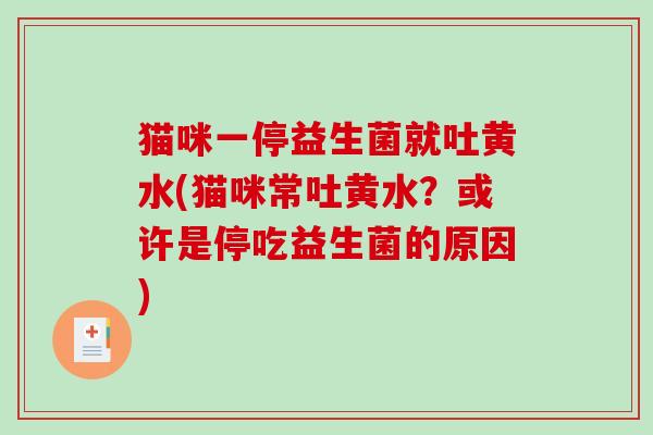 猫咪一停益生菌就吐黄水(猫咪常吐黄水？或许是停吃益生菌的原因)
