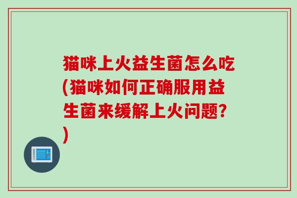 猫咪上火益生菌怎么吃(猫咪如何正确服用益生菌来缓解上火问题？)