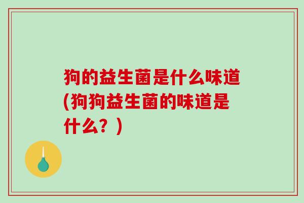 狗的益生菌是什么味道(狗狗益生菌的味道是什么？)