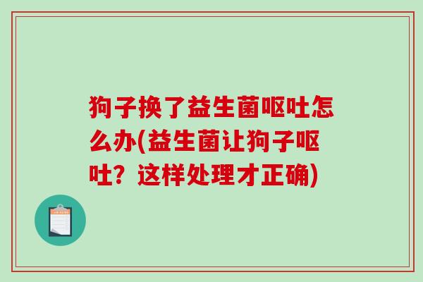 狗子换了益生菌呕吐怎么办(益生菌让狗子呕吐？这样处理才正确)
