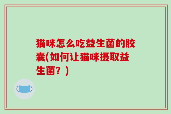 猫咪怎么吃益生菌的胶囊(如何让猫咪摄取益生菌？)