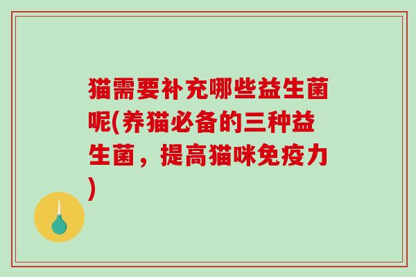 猫需要补充哪些益生菌呢(养猫必备的三种益生菌，提高猫咪力)