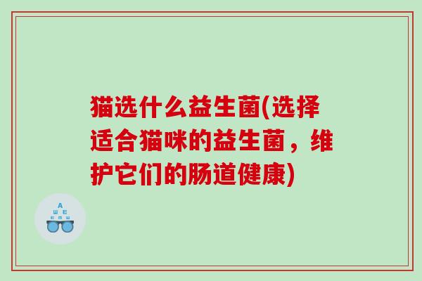 猫选什么益生菌(选择适合猫咪的益生菌，维护它们的肠道健康)