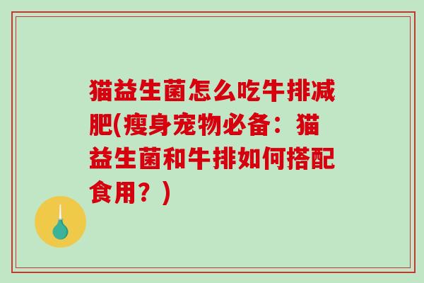 猫益生菌怎么吃牛排减肥(瘦身宠物必备：猫益生菌和牛排如何搭配食用？)
