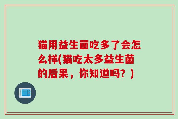 猫用益生菌吃多了会怎么样(猫吃太多益生菌的后果，你知道吗？)