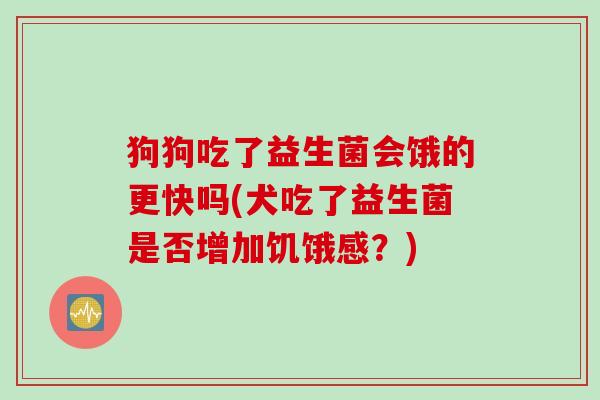狗狗吃了益生菌会饿的更快吗(犬吃了益生菌是否增加饥饿感？)