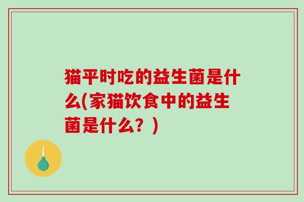 猫平时吃的益生菌是什么(家猫饮食中的益生菌是什么？)