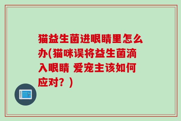 猫益生菌进眼睛里怎么办(猫咪误将益生菌滴入眼睛 爱宠主该如何应对？)