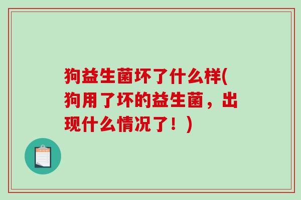 狗益生菌坏了什么样(狗用了坏的益生菌，出现什么情况了！)