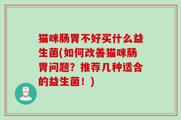 猫咪肠胃不好买什么益生菌(如何改善猫咪肠胃问题？推荐几种适合的益生菌！)