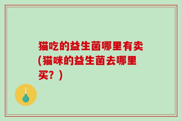 猫吃的益生菌哪里有卖(猫咪的益生菌去哪里买？)