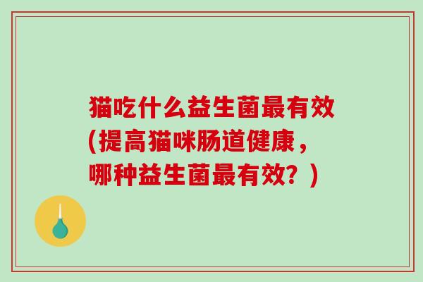 猫吃什么益生菌最有效(提高猫咪肠道健康，哪种益生菌最有效？)
