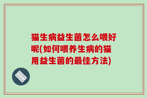 猫生病益生菌怎么喂好呢(如何喂养生病的猫用益生菌的最佳方法)