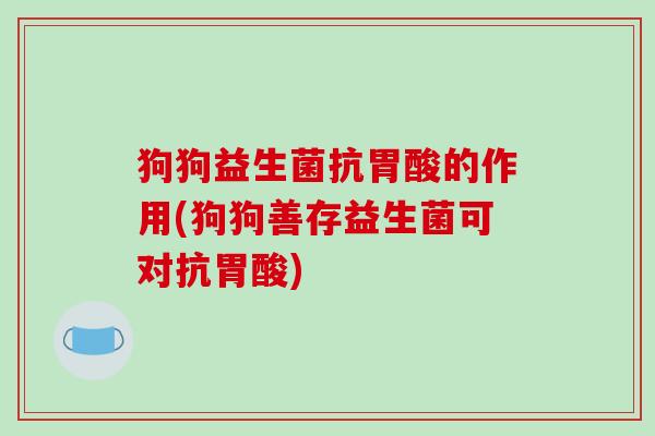 狗狗益生菌抗胃酸的作用(狗狗善存益生菌可对抗胃酸)