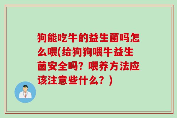 狗能吃牛的益生菌吗怎么喂(给狗狗喂牛益生菌安全吗？喂养方法应该注意些什么？)