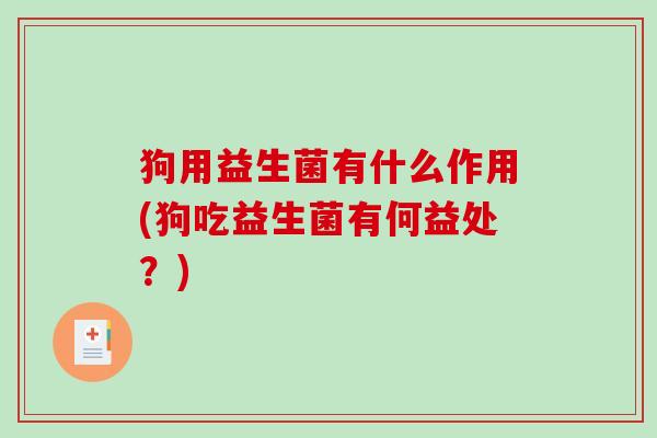 狗用益生菌有什么作用(狗吃益生菌有何益处？)