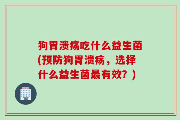 狗胃溃疡吃什么益生菌(预防狗胃溃疡，选择什么益生菌最有效？)
