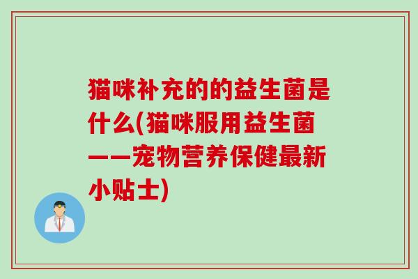 猫咪补充的的益生菌是什么(猫咪服用益生菌——宠物营养保健最新小贴士)