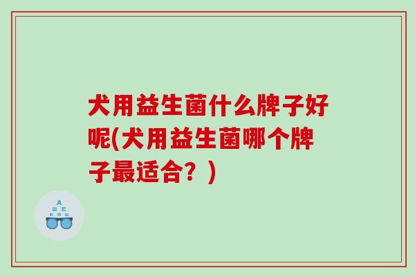 犬用益生菌什么牌子好呢(犬用益生菌哪个牌子最适合？)