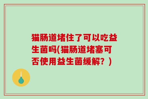 猫肠道堵住了可以吃益生菌吗(猫肠道堵塞可否使用益生菌缓解？)