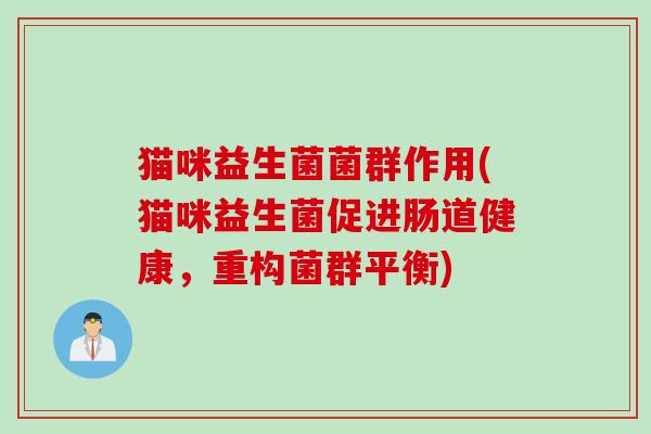 猫咪益生菌菌群作用(猫咪益生菌促进肠道健康，重构菌群平衡)