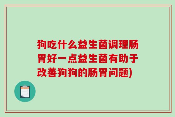 狗吃什么益生菌调理肠胃好一点益生菌有助于改善狗狗的肠胃问题)