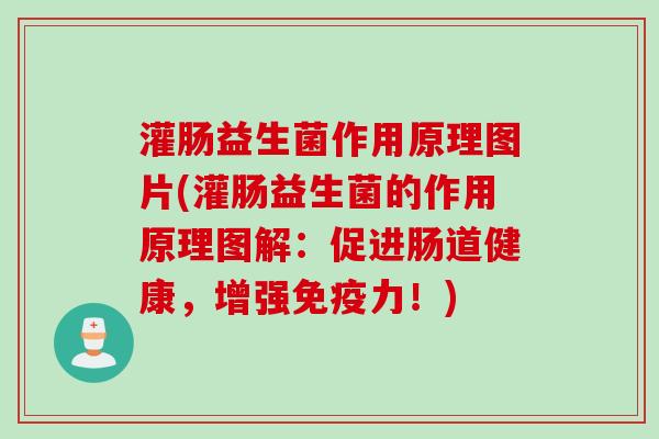 灌肠益生菌作用原理图片(灌肠益生菌的作用原理图解：促进肠道健康，增强免疫力！)