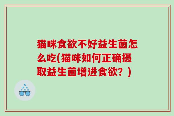 猫咪食欲不好益生菌怎么吃(猫咪如何正确摄取益生菌增进食欲？)