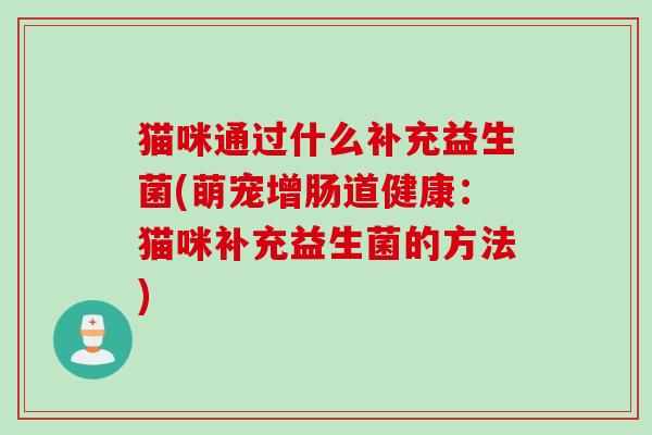 猫咪通过什么补充益生菌(萌宠增肠道健康：猫咪补充益生菌的方法)